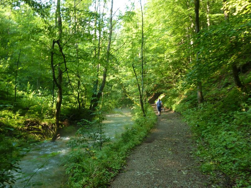 Datei:Weg Trefflingfall v Sulzbichl.jpg