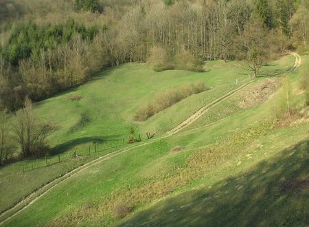 sehr früh schneefrei: Gaisbühl Südseite