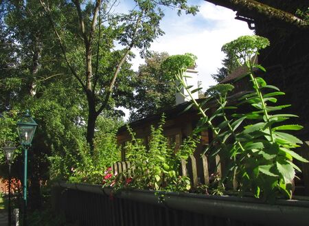 Idyll am Terrasse-Zaun