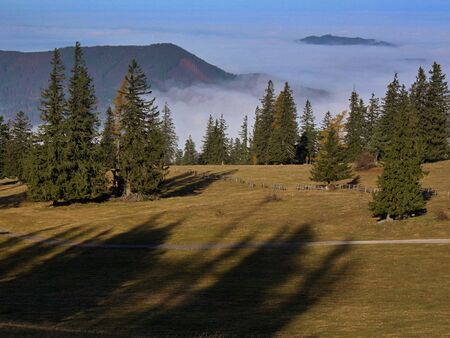Alm auf dem Muckenkogl