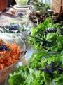 Salatbuffet im Frühjahr