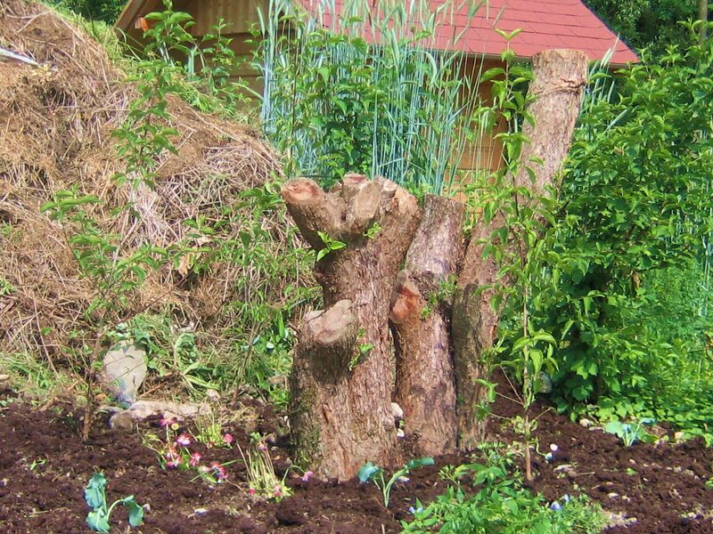 Datei:Dirndlstock versetzt9.jpg