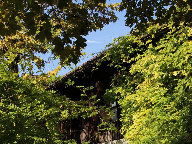 Datei:SH2 grüner Vierkanthof.JPG