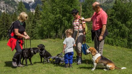 Hunde beim Wandern