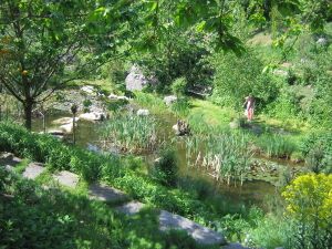 Bild:Südgarten Biotop09.jpg