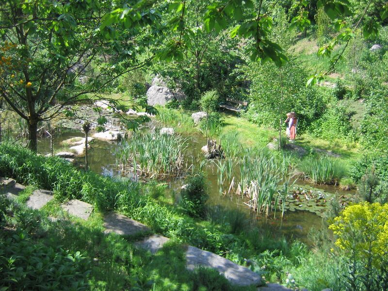 Datei:Südgarten Biotop09.jpg