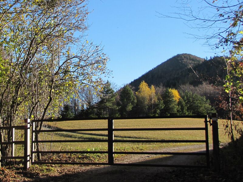 Datei:EST-Gatter Loicheck Kalteneck.jpg