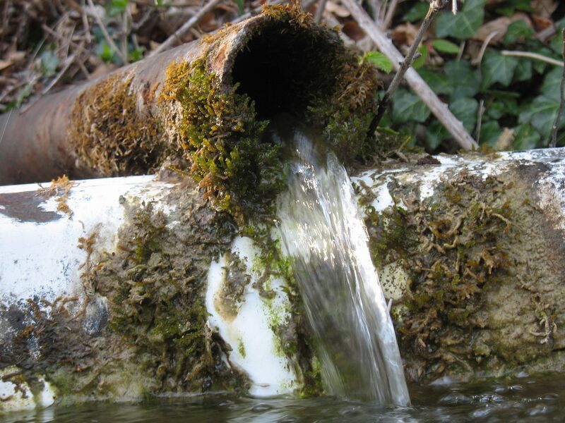 Datei:Quelle Gaisbühel.jpg
