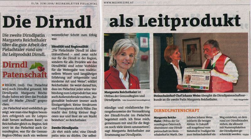 Datei:SH Dirndpatin Reichsthaler Bezirksblatt.jpg