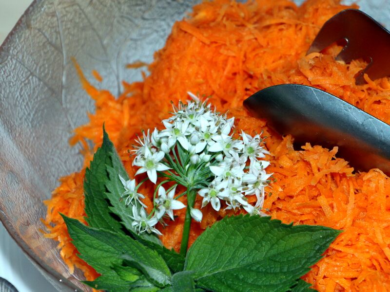 Datei:SK Knolauchblüte im Karrottensalat.JPG