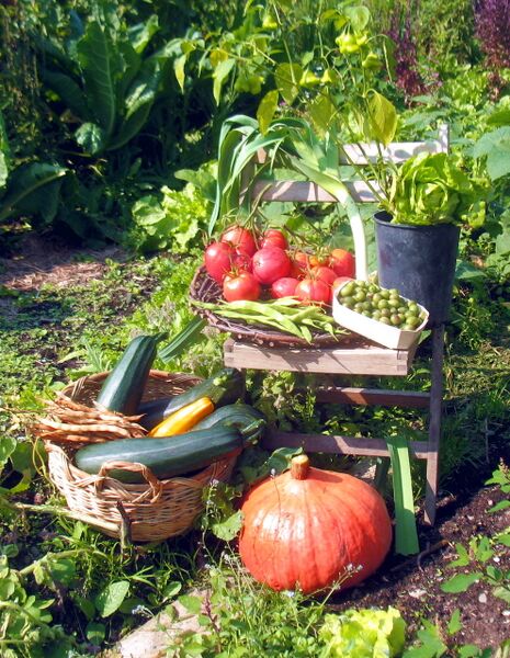 Datei:Steinschaler Gartenernte 2010.jpg