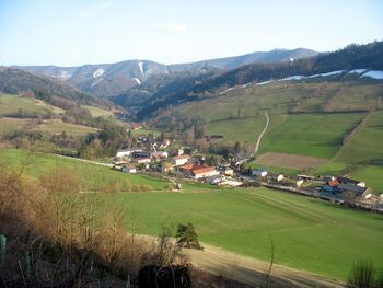 Tradigist im Frühjahr