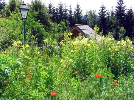 Mostiniumgarten Richtung Kräuterhütte