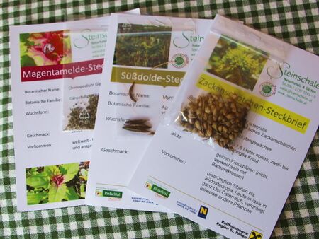 Steinschaler Samenkarten für Wildkräuter