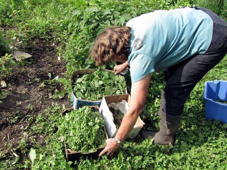 Frieda mit ihren "Ernte-Schachteln"