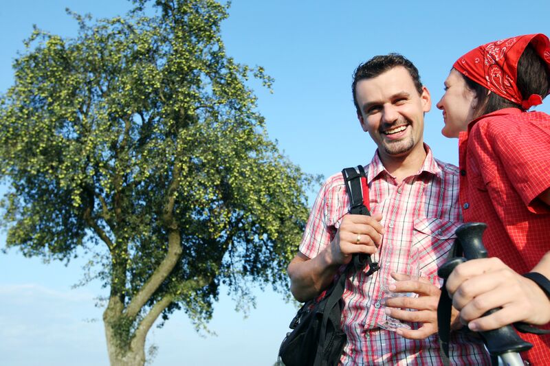 Datei:Pärchen Birnbaum WF.jpg