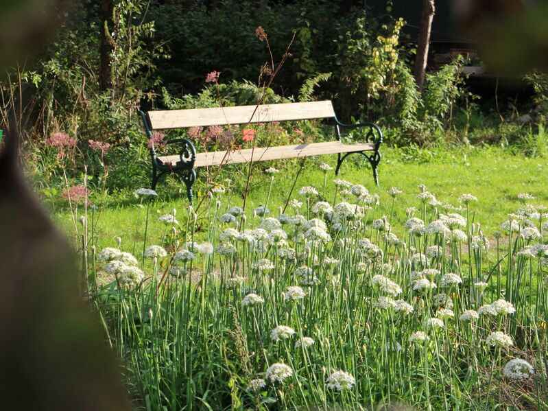 Datei:SG PG Bankerl bei Knolauch.jpg