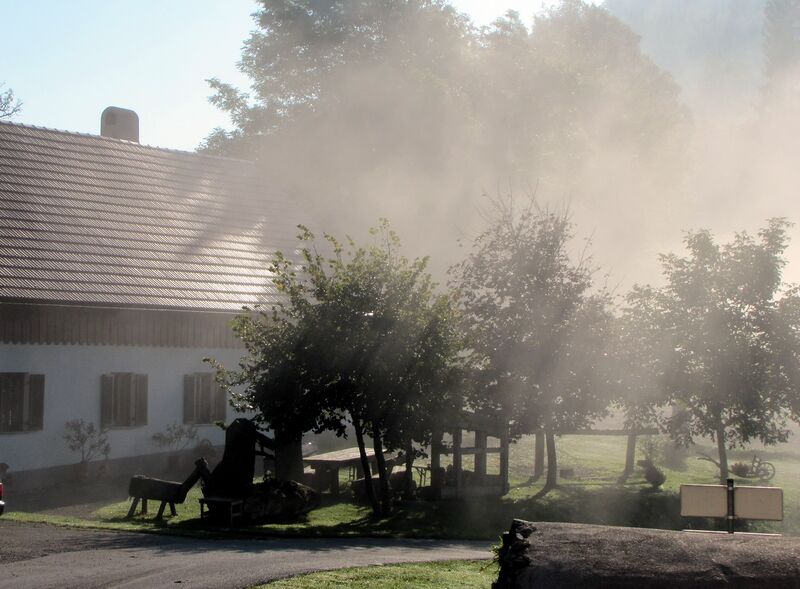 Datei:Nebel Laimboden1.jpg