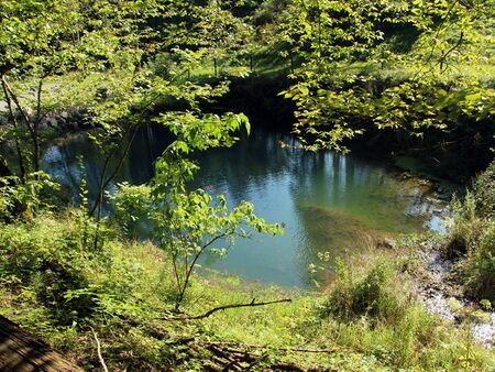 Feuerlöschteich im Taschelgraben