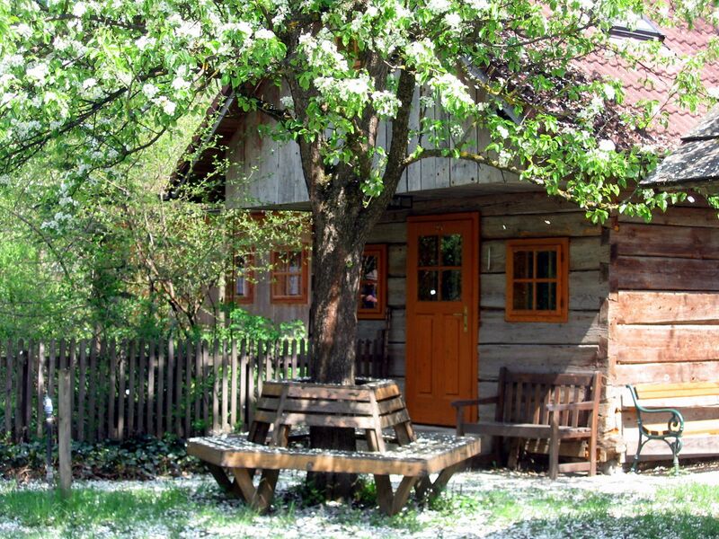 Datei:SH Troadkasten Blüte2.jpg