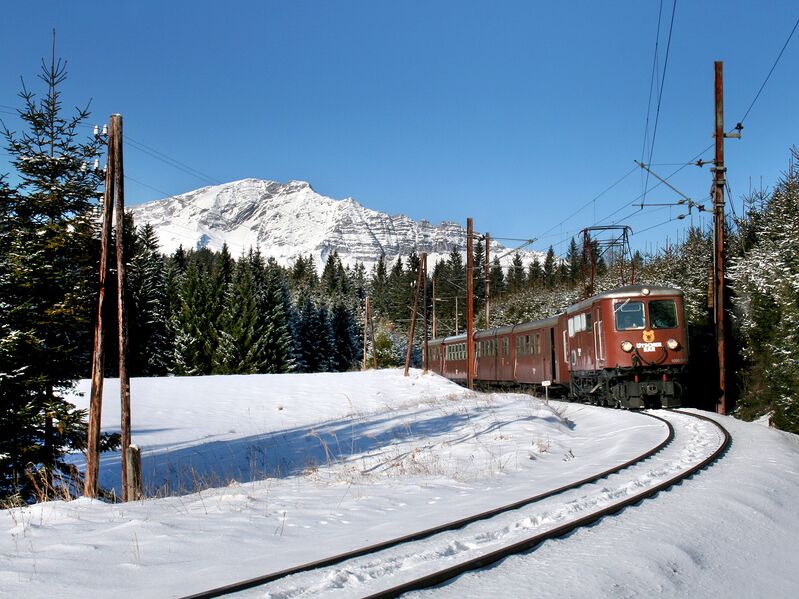 Datei:Ötscherbär erlaufklause (c)prokop.jpg