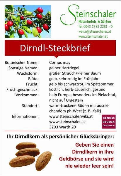 Datei:Steinschaler Dirndlkarte 1.jpg