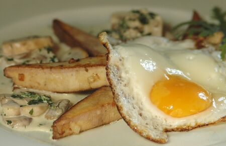Tofu mit Schwammerl und Spiegelei