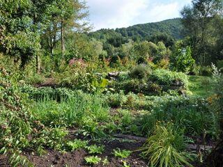 Produktionsgarten der Vielfalt