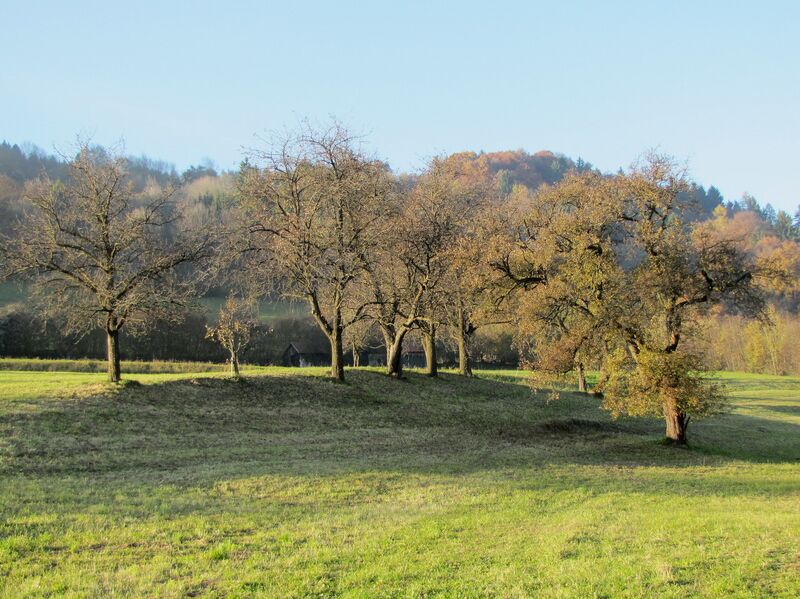 Datei:Streuobstwiese Herbst Zeiner.jpg