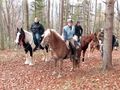Jährlicher Ritt mit Pferden im Herbst