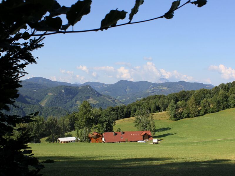 Datei:EST Loicheck Aug15.jpg