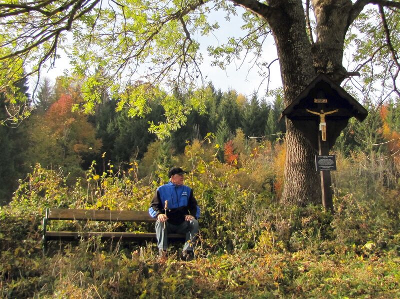 Datei:Eibenbergrast Herbst.jpg
