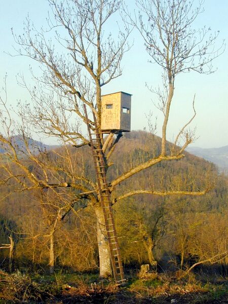Hochstand unweit des Banzhäusls