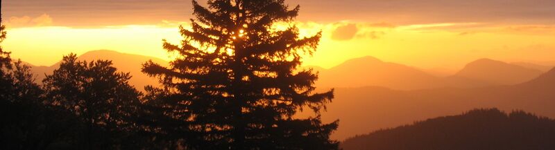 Datei:Sonnenaufgang Eisenstein Fichte Streifen.jpg