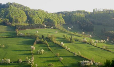 Kulturlandschaft Tradigist - Blüte