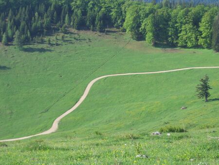 Eisenstein Weide 2009