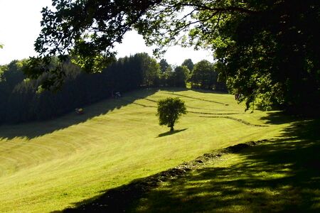 "Lange Wiese" am Warthberg im Mai