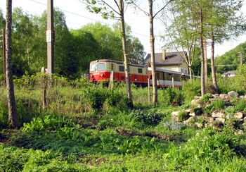 Die Gartenbahn - MzB