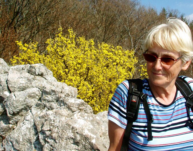 Datei:Spitzmauer Dirndelblüte Fr Karl.jpg