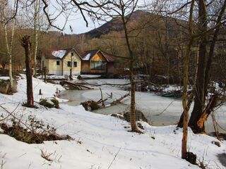 Teichbrücke im Winter