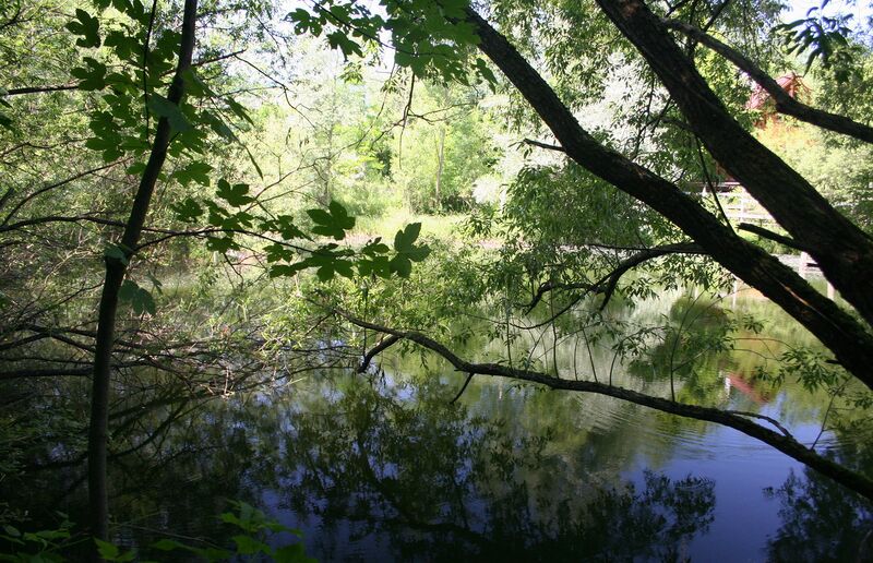 Datei:Idyll am Steinschaler Teich 02.jpg