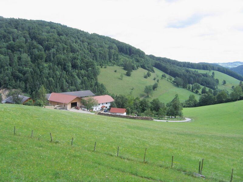 Datei:Oachnerhof im Sommer.jpg