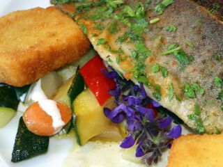 Fisch mit Frischgemüse