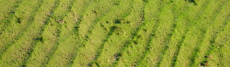 Datei:Viehsteige Streifen.jpg
