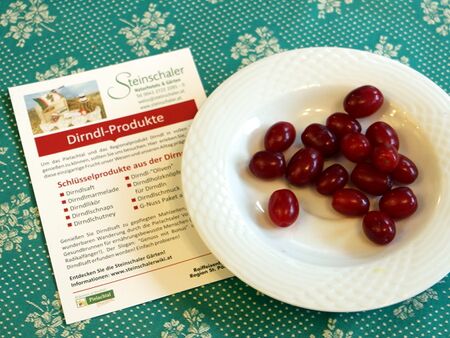 Dirndl und Dirndlkarte