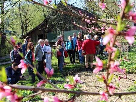 Kombinieren Sie Ihren Ausflug mit einer Gruppenführung in den Steinschaler Gärten