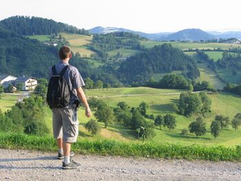Aussicht auf der Rehgrabenhöhe
