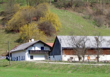 Geburtshaus von Kardinal König - Dirndlblüte