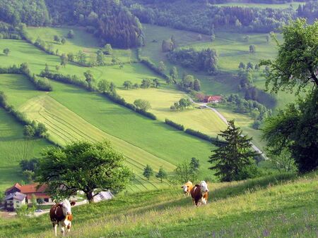 Landschaft für die Familie: Blick vom 1.000 Dirndlberg