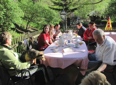 Hunde auf der Terrasse